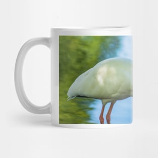 American white ibis of Florida Mug